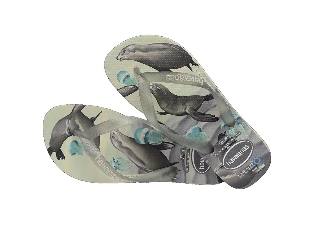 哈瓦仕 Havaianas 灰色 迪士尼100週年紀念 米奇拖鞋 男女款 H6128【新竹皇家4148618-5178】 歷史價格詳細信息