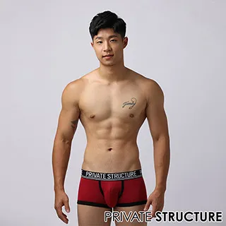 Private Structure BASICS 巨擘系列三角男內褲(暗紅色) PSAMU09201R1 歷史價格詳細信息