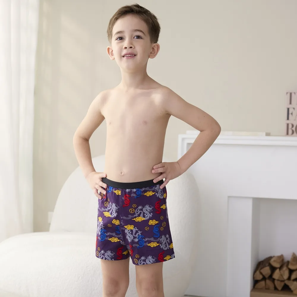 DADADO-祥龍獻瑞 140-160男童內褲(紫) 品牌推薦-舒適寬鬆-GCQ407PU 歷史價格詳細信息