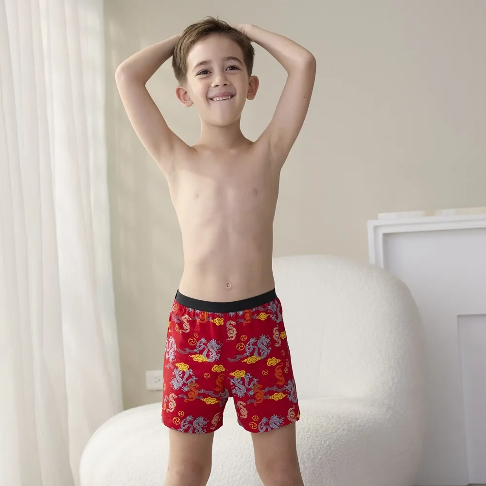 DADADO-祥龍獻瑞 140-160男童內褲(紫) 品牌推薦-舒適寬鬆-GCQ407PU 歷史價格詳細信息