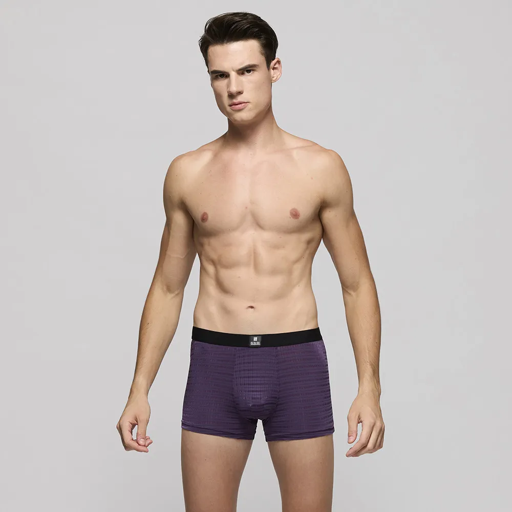 DADADO-黑標系列 M-3L貼身四角男內褲(條紋藍) 高針目莫代爾纖維-GK6235NB 歷史價格詳細信息