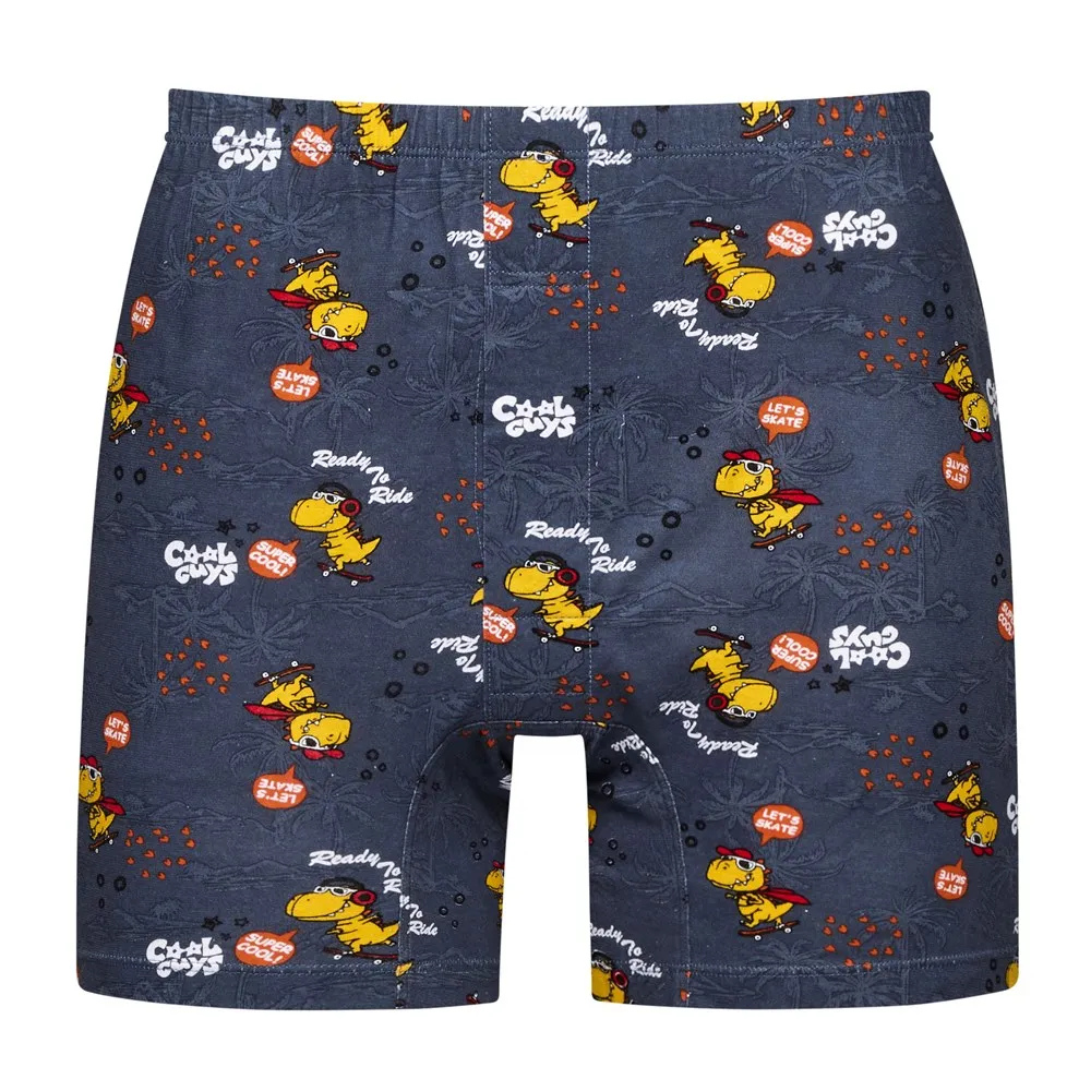 DADADO-滑向朱羅紀 140-160男童內褲(灰) 品牌推薦-舒適寬鬆-GCQ320GY 歷史價格詳細信息