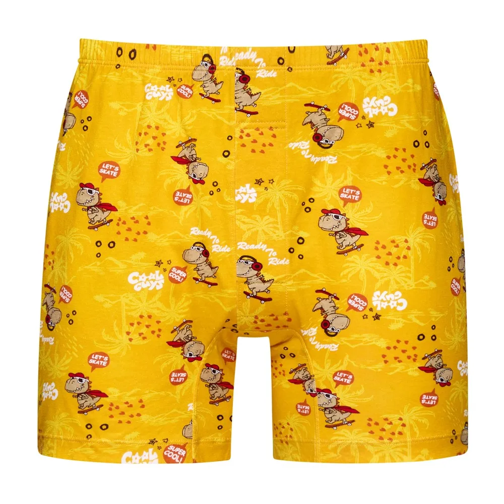 DADADO-滑向朱羅紀 140-160男童內褲(灰) 品牌推薦-舒適寬鬆-GCQ320GY 歷史價格詳細信息