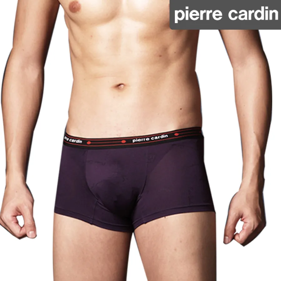 Pierre Cardin皮爾卡登  萊卡彈性琱絲三角褲(紫) 歷史價格詳細信息