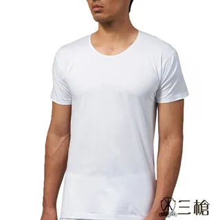 【三槍牌】時尚型男純棉短袖圓領汗布衫(白4件組 2XL-3XL 916) 歷史價格詳細信息
