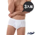 [3件組] 鱷魚印花平口褲M~XL-6381 歷史價格詳細信息