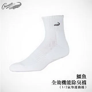 鱷魚全效機能除臭襪-3/4寬口休閒襪(二雙組) 歷史價格詳細信息