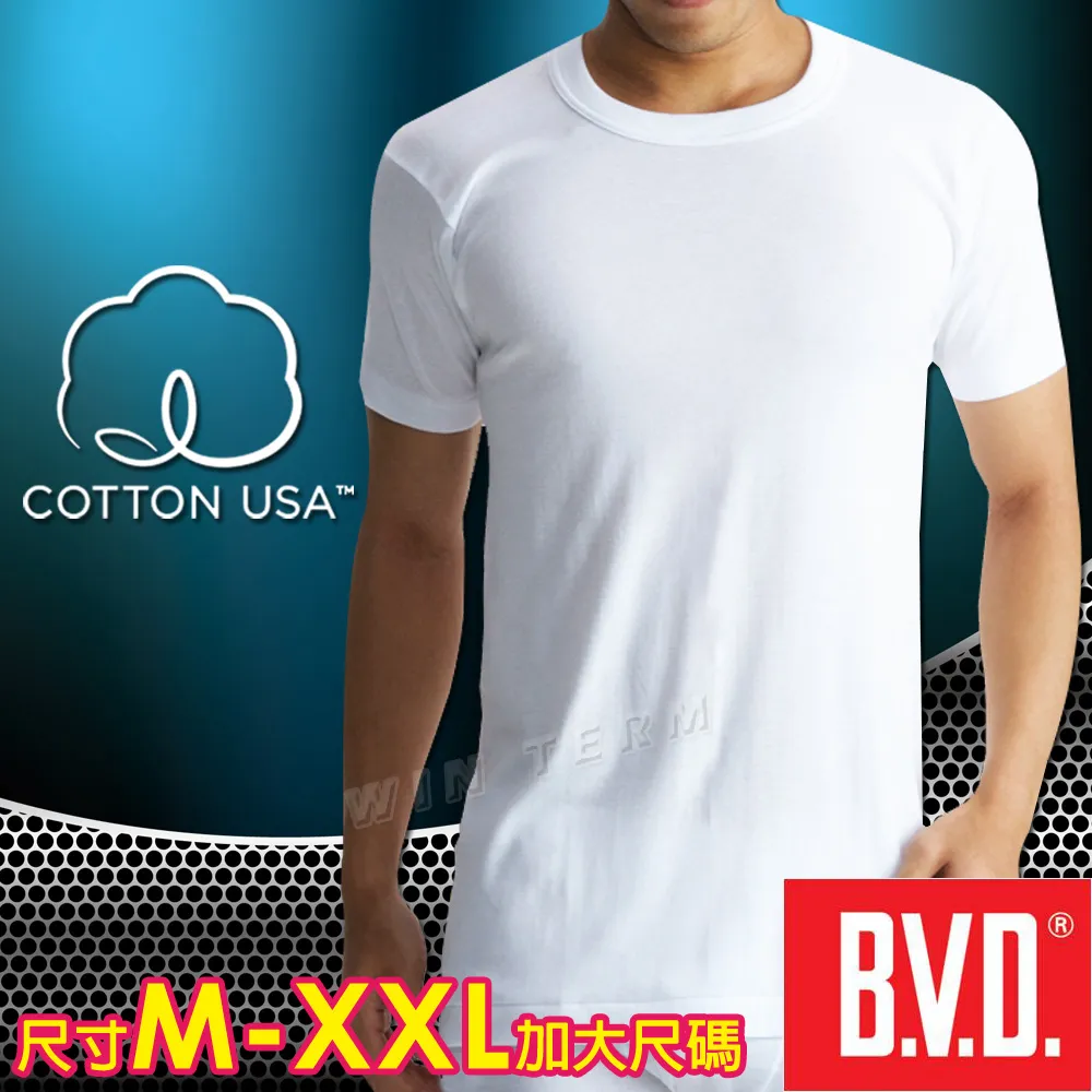 BVD 100%純棉短袖U領衫-3件組 歷史價格詳細信息