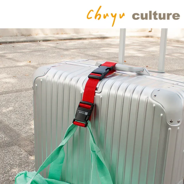 SN-30011 行李箱束帶/100CM-時尚風 歷史價格詳細信息