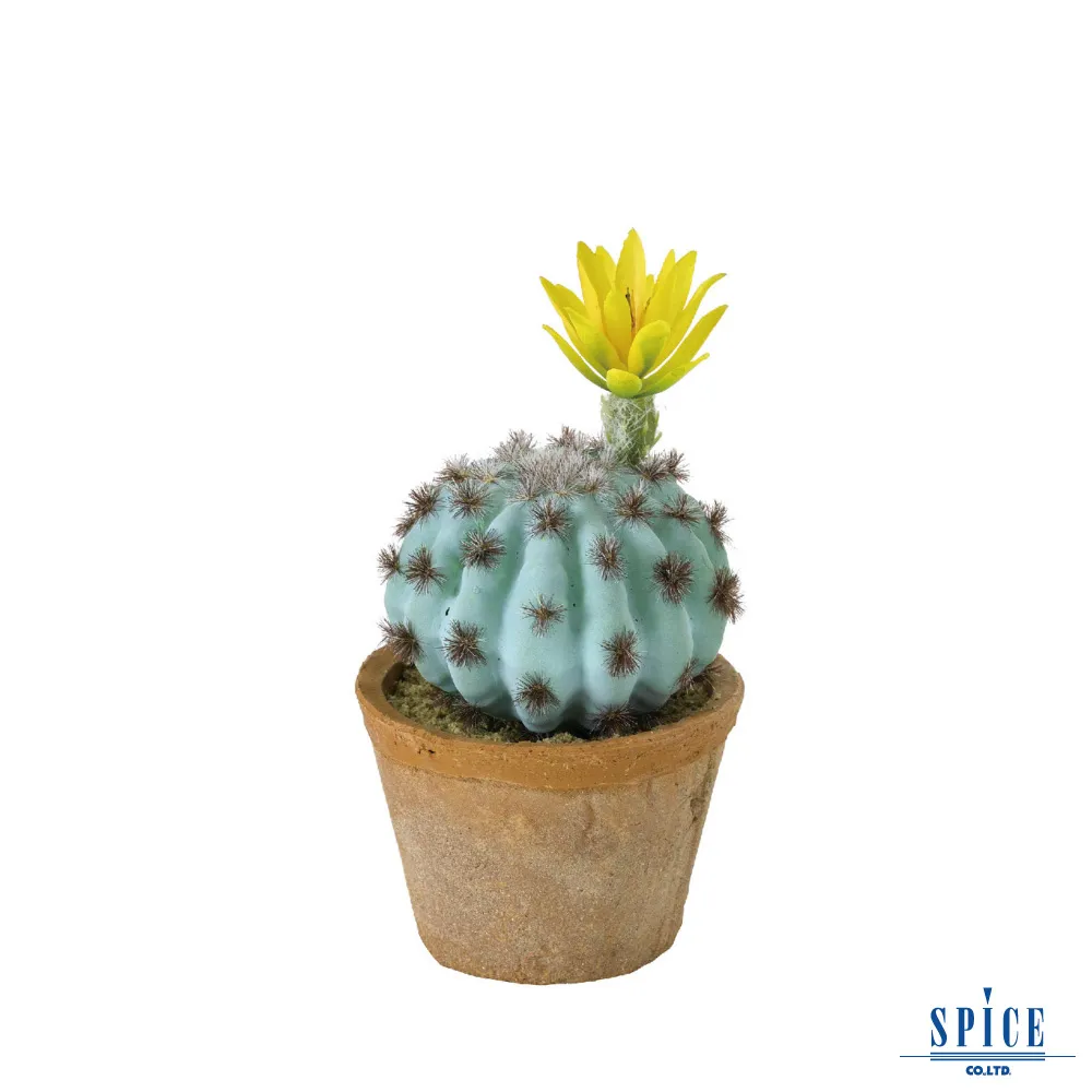 SPICE OF LIFE 樹葉軟墊/ 腳墊- 白色橡樹葉 歷史價格詳細信息