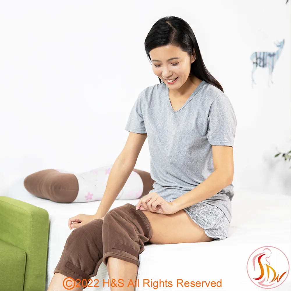 【SDW】遠紅外線超導智慧枕 歷史價格詳細信息