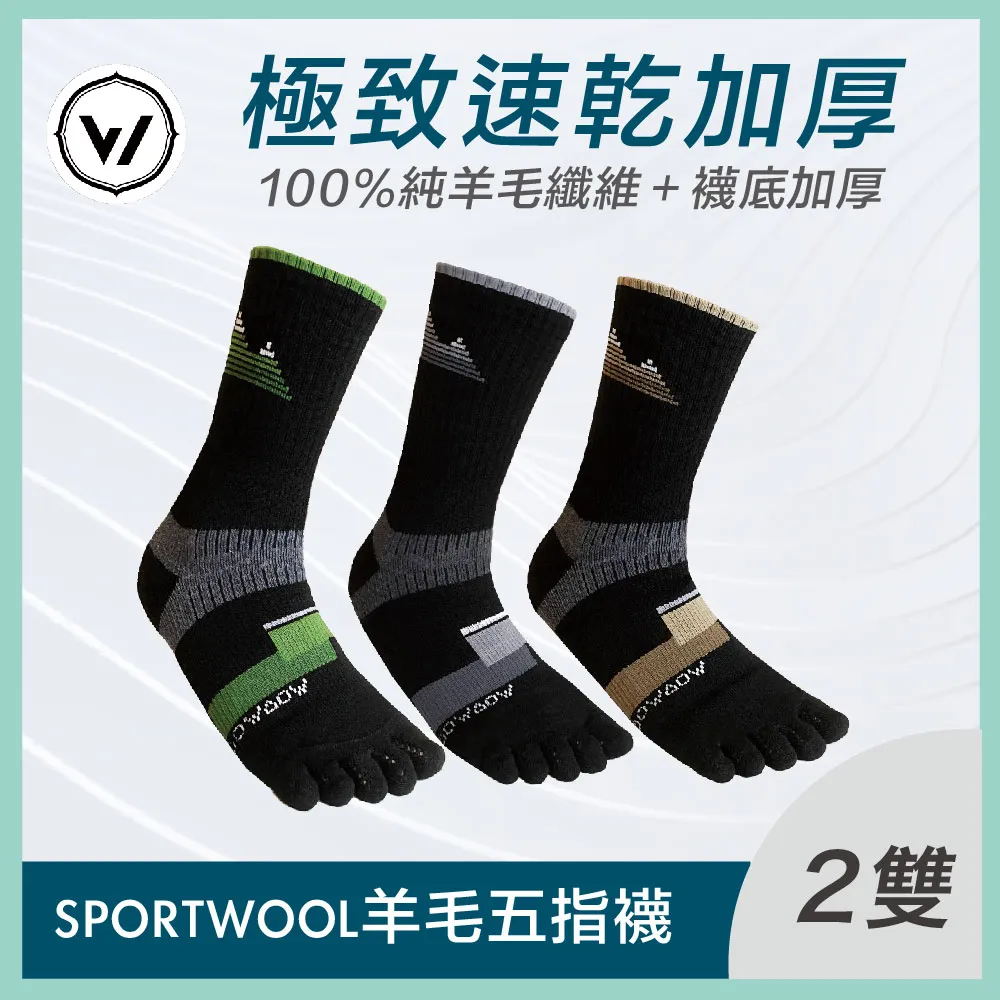 【WOAWOA】SPORTWOOL極致速乾羊毛五趾襪-高筒 2入組(羊毛襪 機能襪 五趾襪 厚襪 除臭襪 長筒襪) 歷史價格詳細信息