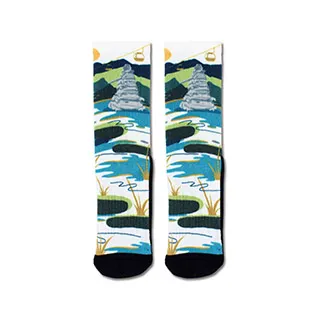 AREXSPORT咖啡紗3Ｄ科技機能襪-絕望重生 歷史價格詳細信息