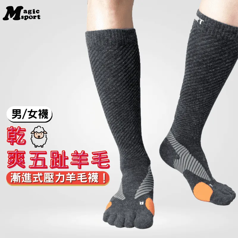 美肌刻Magic【壓力護腿脛套JG024】 歷史價格詳細信息