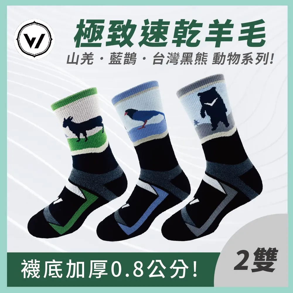 【WOAWOA】2入組 極致速乾登山羊毛襪-中筒(100%防縮美麗諾羊毛 登山襪 保暖襪 除臭襪 羊毛襪 厚襪) 歷史價格詳細信息