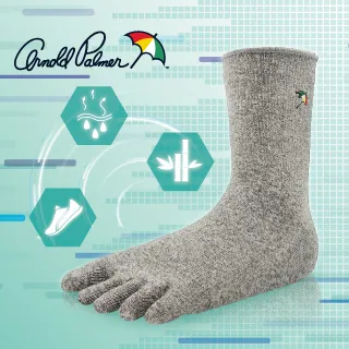 刺繡五趾襪(十兩雙) 歷史價格詳細信息