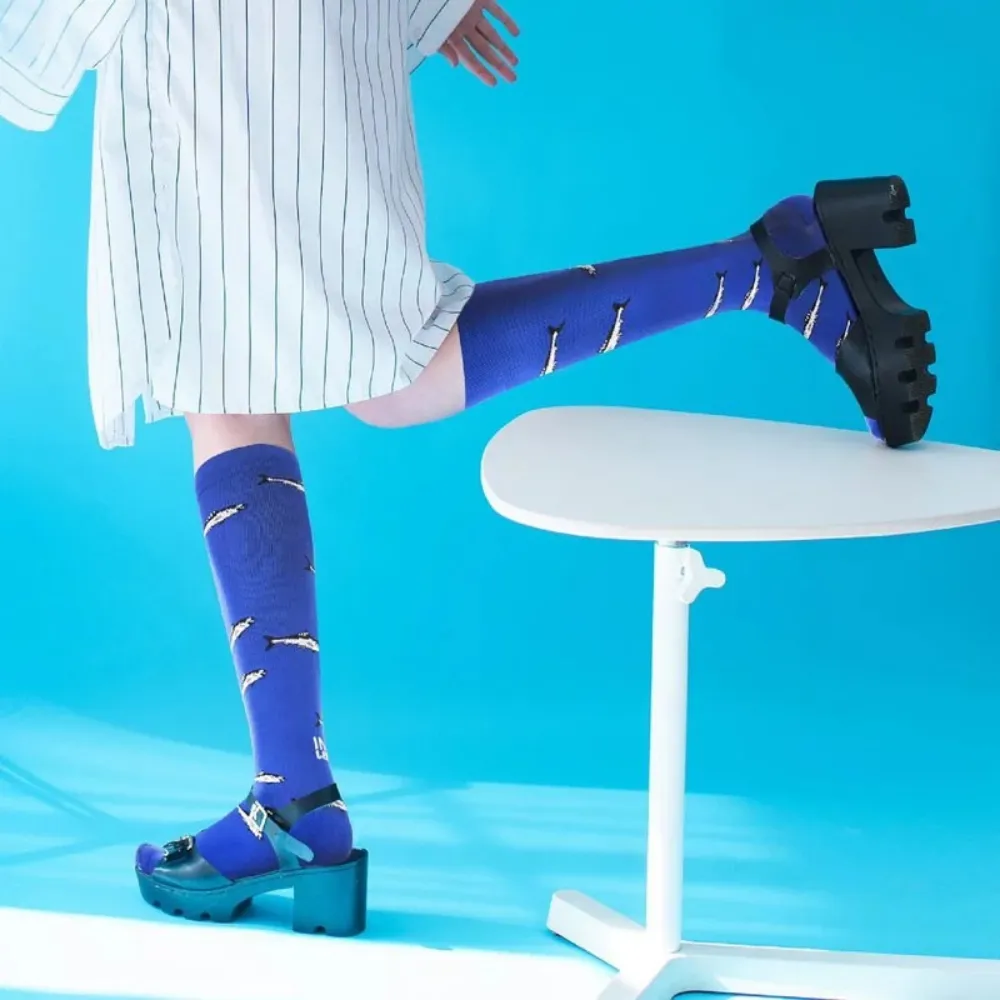 IMI MBJ 經典原色｜壓力小腿套 歷史價格詳細信息