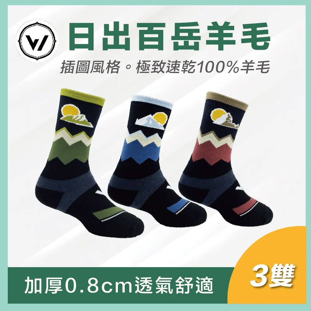 【WOAWOA】3入組 百岳第二代能量激發登山襪-中筒(登山襪 除臭襪 機能襪 襪子 中筒襪 健走襪 10279095) 歷史價格詳細信息
