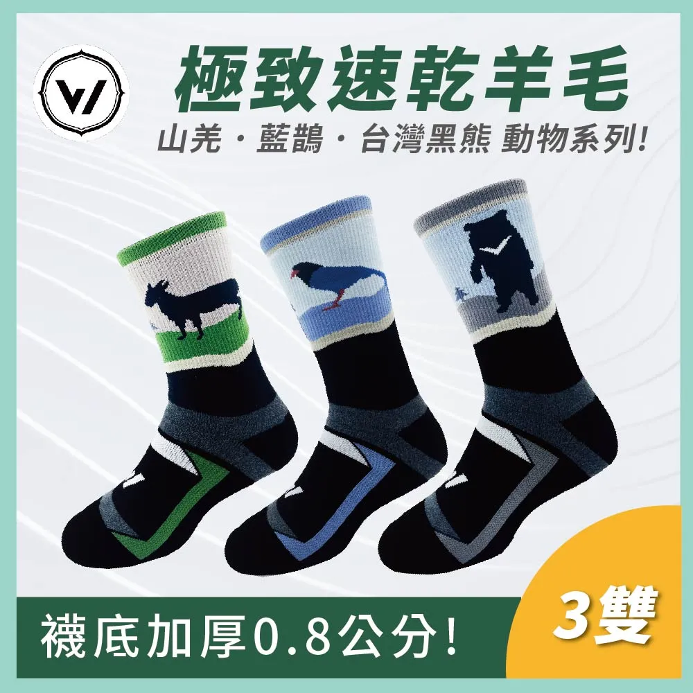 【WOAWOA】3入組 台灣特有種羊毛登山襪-高筒(100%防縮美麗諾羊毛 羊毛襪 登山襪 保暖襪 除臭襪 10245178) 歷史價格詳細信息