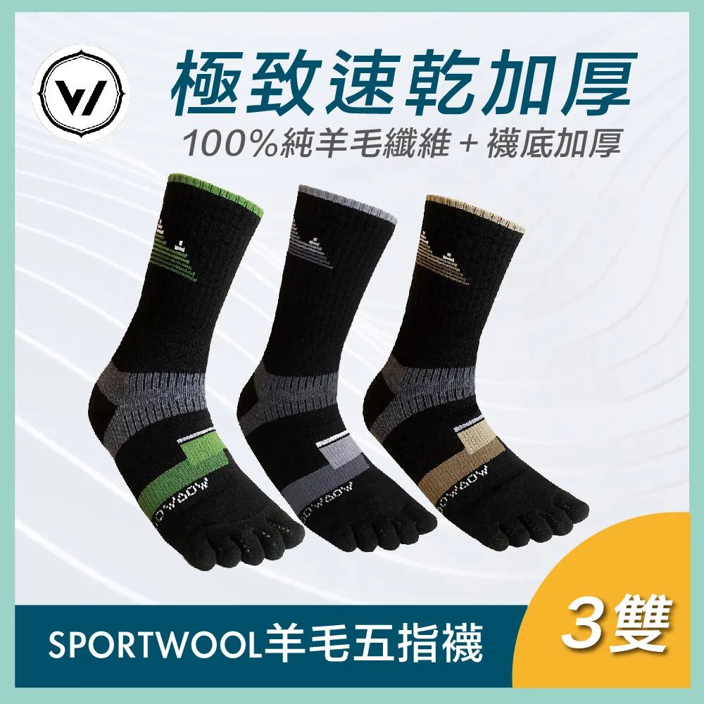 【WOAWOA】SPORTWOOL極致速乾羊毛五趾襪-高筒 2入組(羊毛襪 機能襪 五趾襪 厚襪 除臭襪 長筒襪) 歷史價格詳細信息