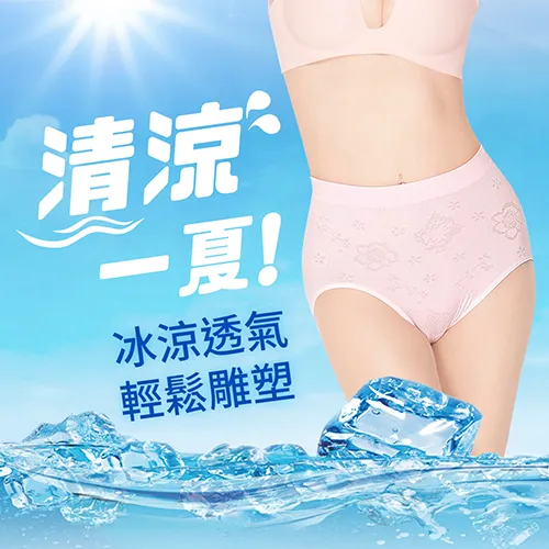 【JS嚴選】台灣製涼感紗中腰無縫三角褲(中腰涼感褲*6) 歷史價格詳細信息
