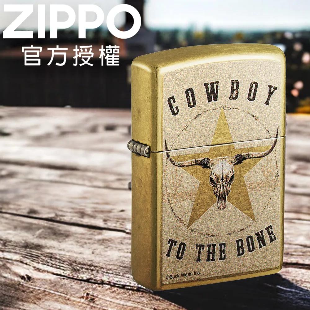 ZIPPO Buck Wear-Still looking for intelligent life on Earth 外星訴求防風打火機 歷史價格詳細信息