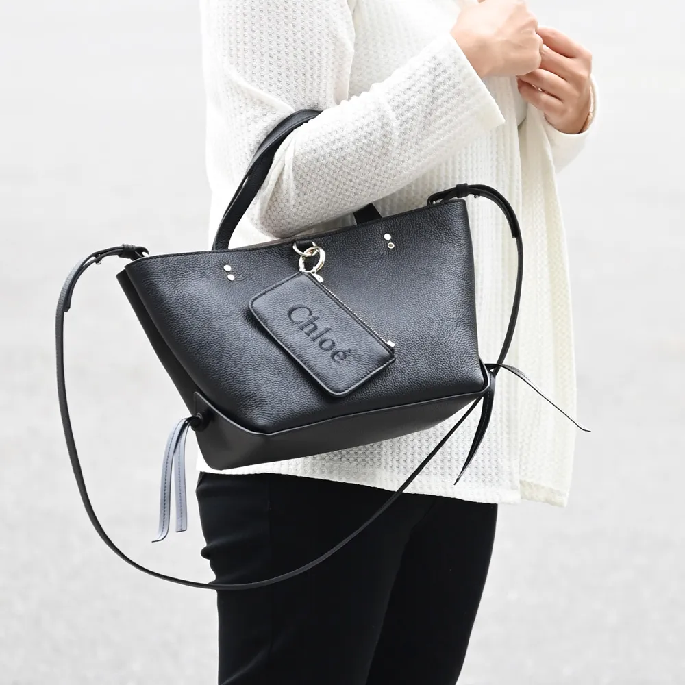 CHLOE Sense 小型 字母刺繡小牛皮拼拉菲草手提/斜背編織包(棕色) 歷史價格詳細信息