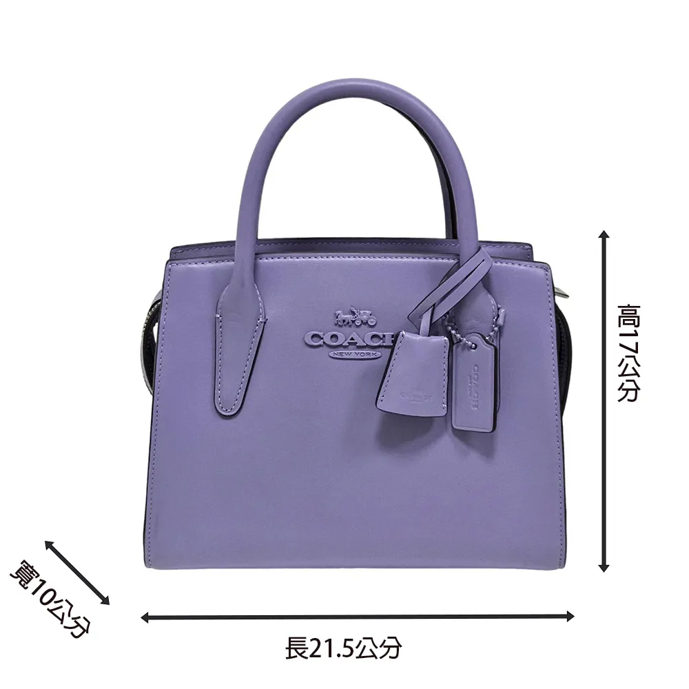 COACH 薰衣草紫藍莓造型銀字金屬LOGO斜背手提兩用包 歷史價格詳細信息