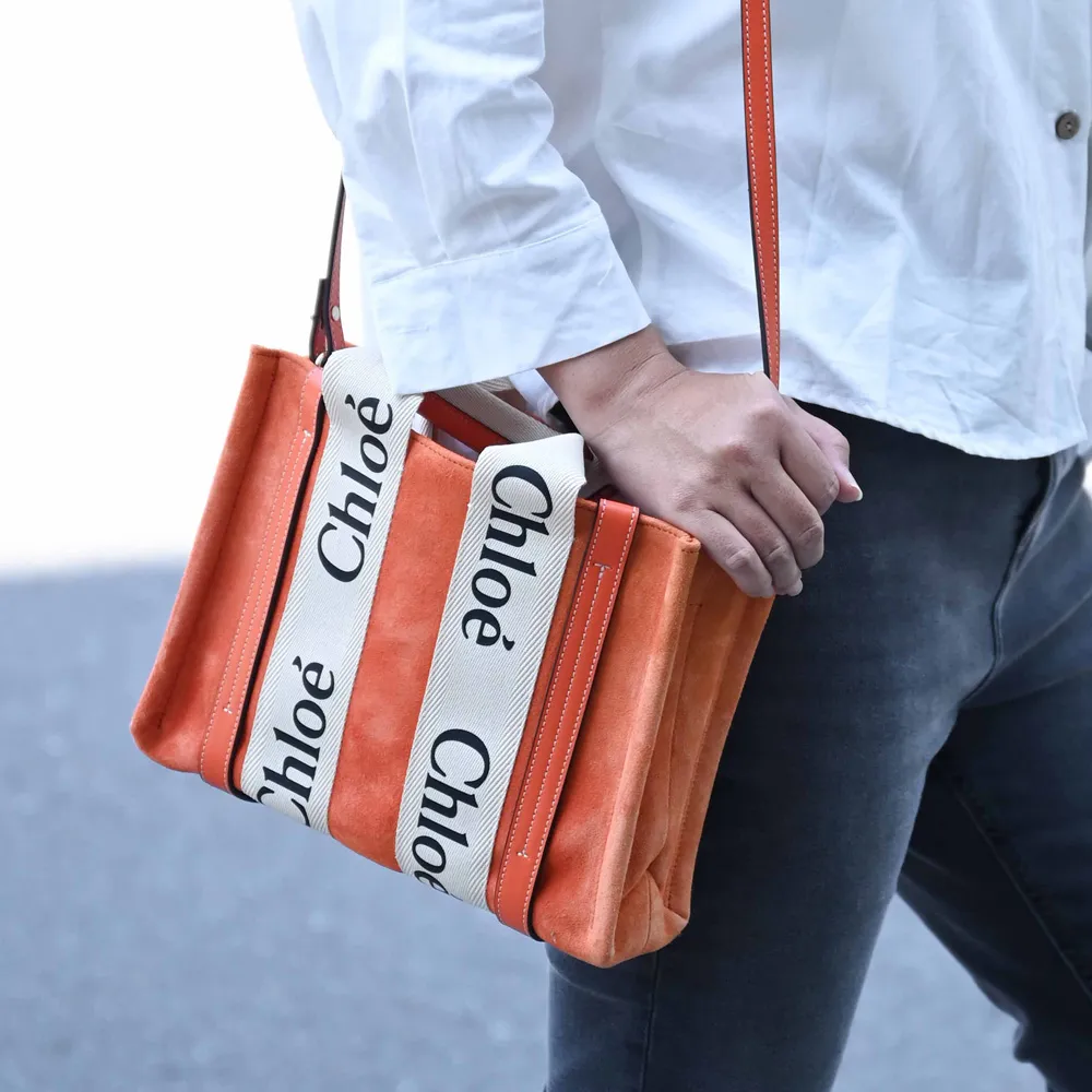 Chloe 經典 小款 FAYE Backpack 牛皮雙肩包 後背包 手提包 水藍色 歷史價格詳細信息