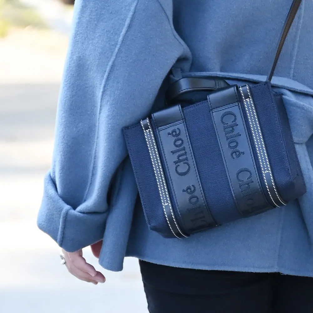 CHLOE Woody LOGO 新版織帶草編托特包.白邊 歷史價格詳細信息