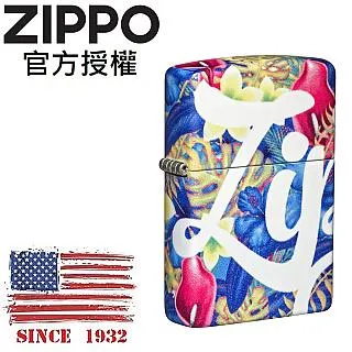 ZIPPO ZIPPO DESIGN 霓虹燈設計 歷史價格詳細信息