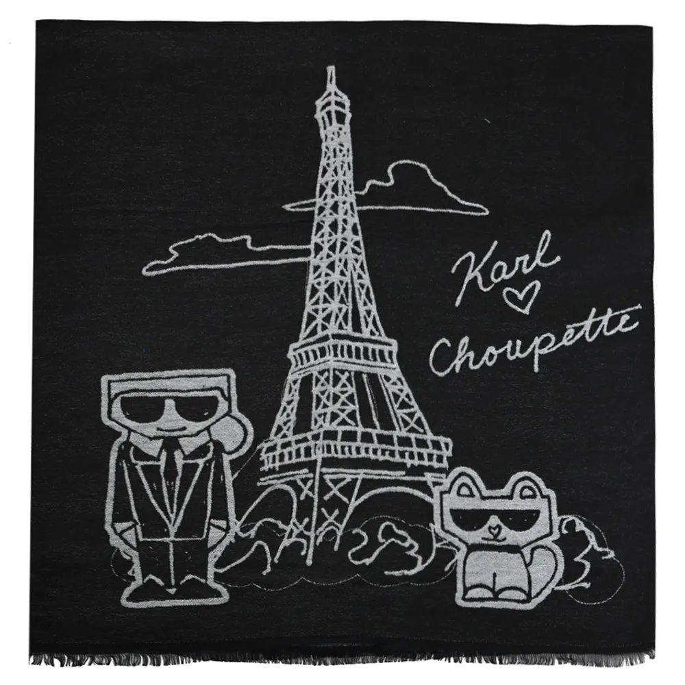 圍巾 披肩 鐵塔圍巾女冬季韓版百搭時尚仿羊絨加厚雙面保暖圍巾新款披肩外搭WY040 歷史價格詳細信息