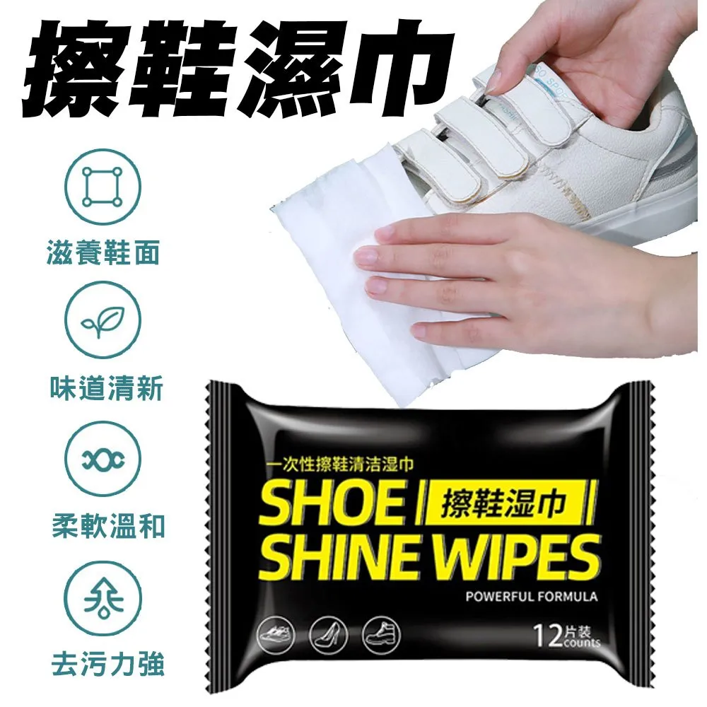 去污擦鞋濕紙巾濕巾2包160抽 超大包更划算 白鞋迅速去污 歷史價格詳細信息