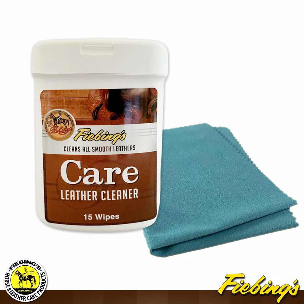 美國菲繽FIEBING 皮革除霉潔護組 歷史價格詳細信息