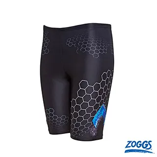 ZOGGSx正義聯盟 青少男水行俠泳褲 歷史價格詳細信息