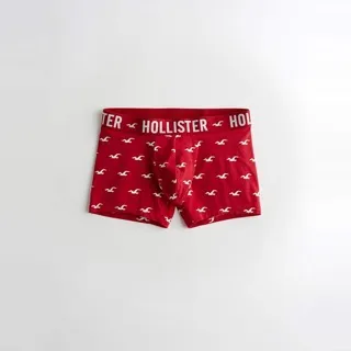 Hollister 經典刺繡滿版小海鷗文字貼身內褲-水藍色 歷史價格詳細信息