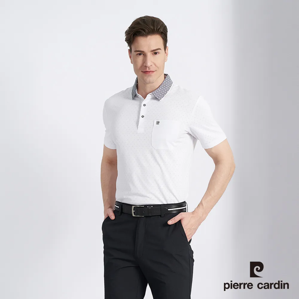 【pierre cardin 皮爾卡登】男款 緹花短袖襯衫領polo衫-淺灰色 (5247201-95) 歷史價格詳細信息