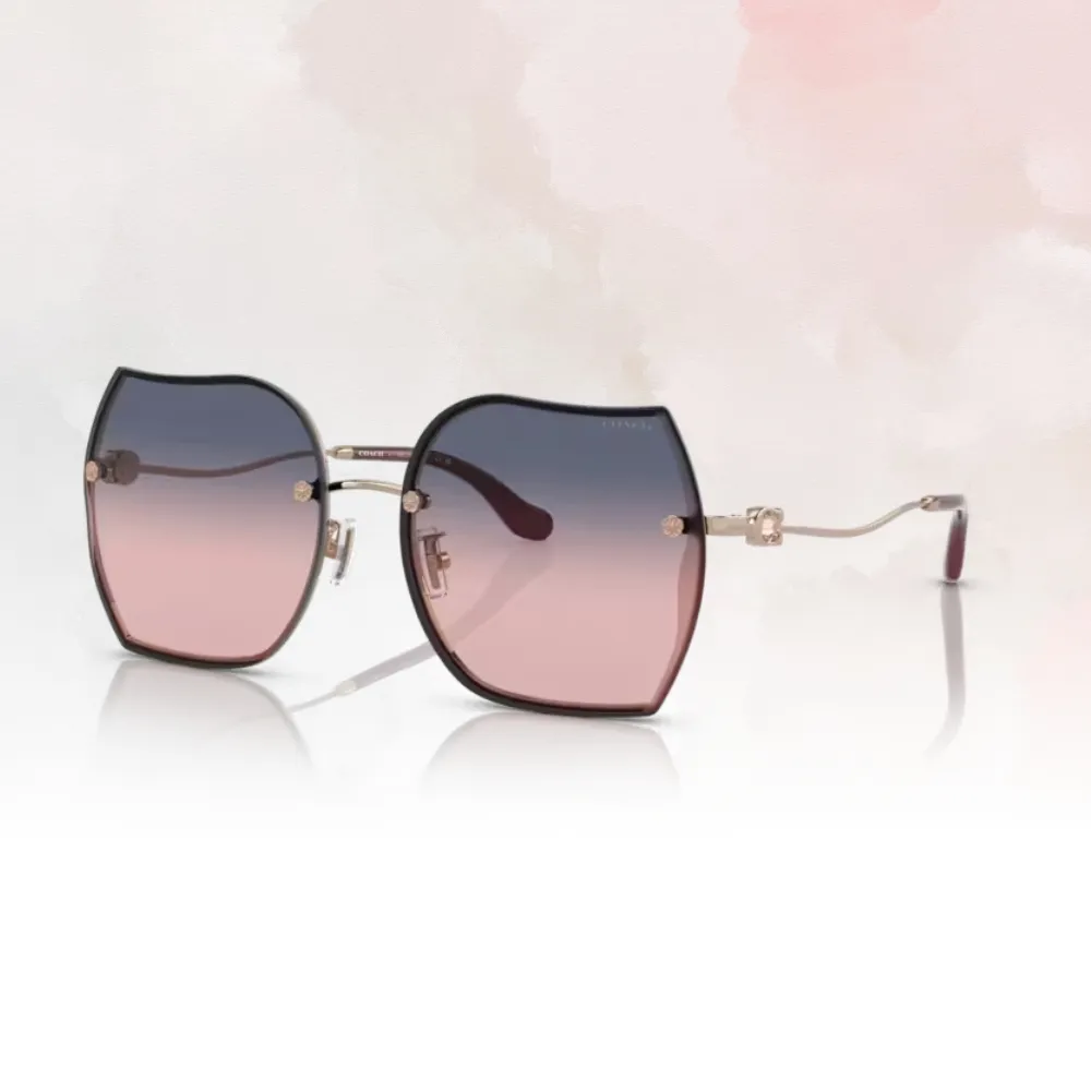 【COACH】金屬大C 牛皮革手提/斜背水桶包(黑) 歷史價格詳細信息