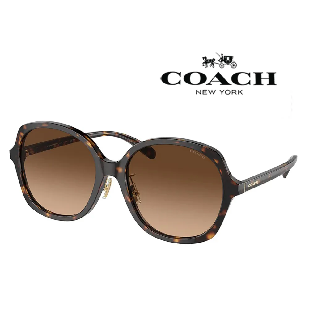 COACH 時尚典雅光學眼鏡 輕量純鈦材質 精緻單鑽設計 HC5144TD 9407 玫瑰金 公司貨 歷史價格詳細信息