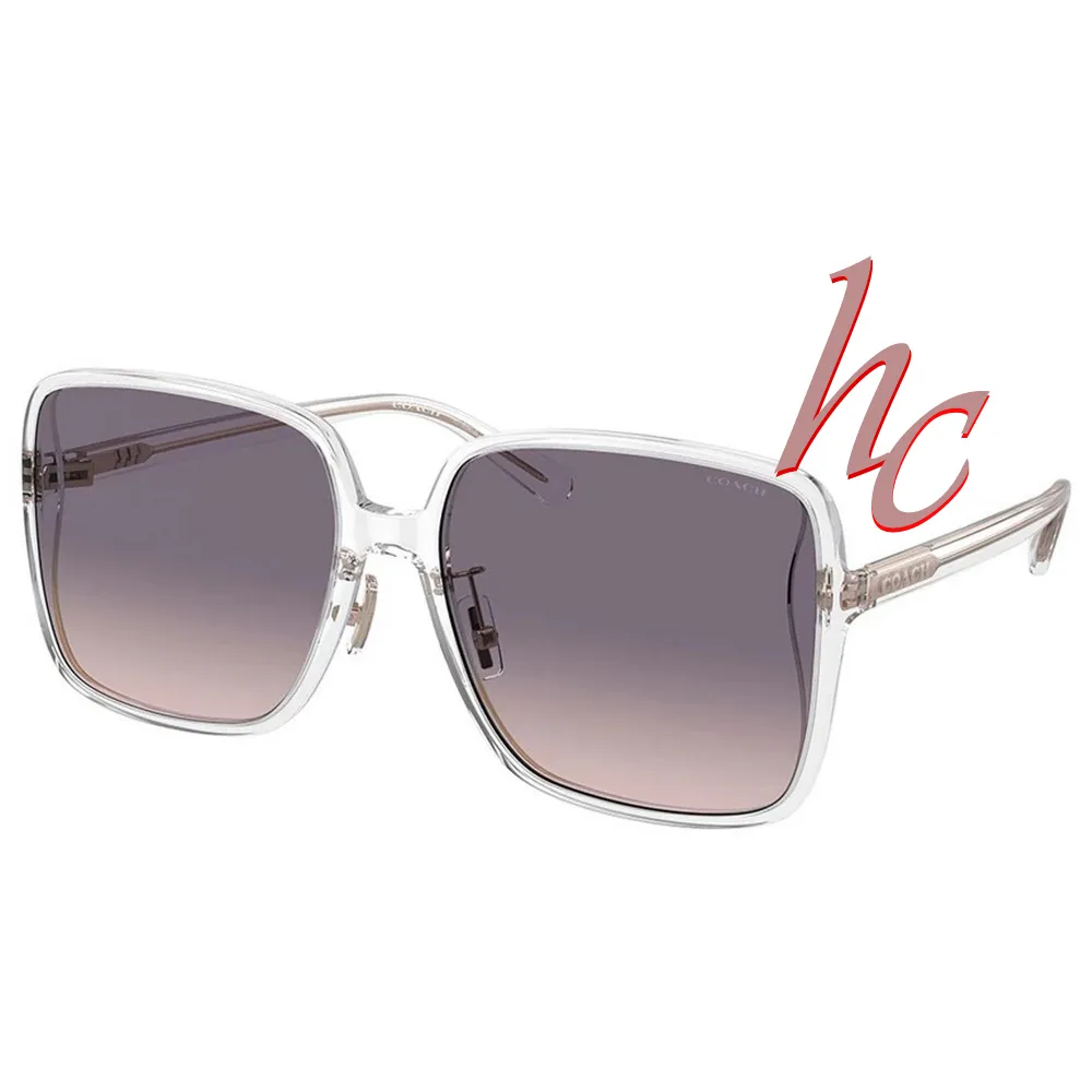 COACH 時尚典雅光學眼鏡 輕量純鈦材質 精緻單鑽設計 HC5144TD 9407 玫瑰金 公司貨 歷史價格詳細信息