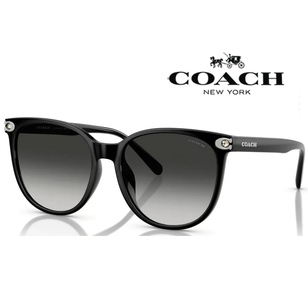 COACH 蔻驰 水餃包 牛皮 大容量 女性 公事包 電腦包 書包 側背包 肩背包 歷史價格詳細信息