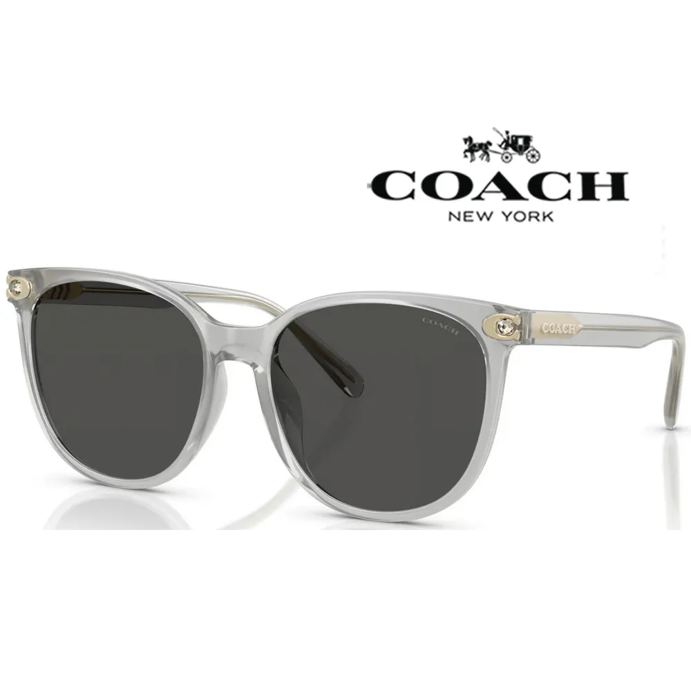 COACH 蔻驰 水餃包 牛皮 大容量 女性 公事包 電腦包 書包 側背包 肩背包 歷史價格詳細信息