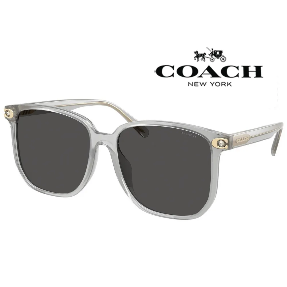 COACH 蔻驰 水餃包 牛皮 大容量 女性 公事包 電腦包 書包 側背包 肩背包 歷史價格詳細信息