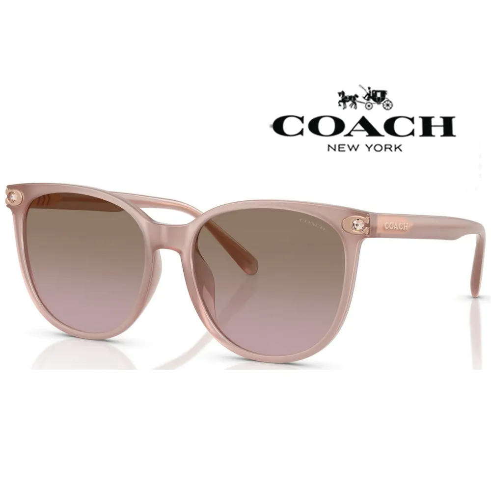 COACH 蔻驰 水餃包 牛皮 大容量 女性 公事包 電腦包 書包 側背包 肩背包 歷史價格詳細信息