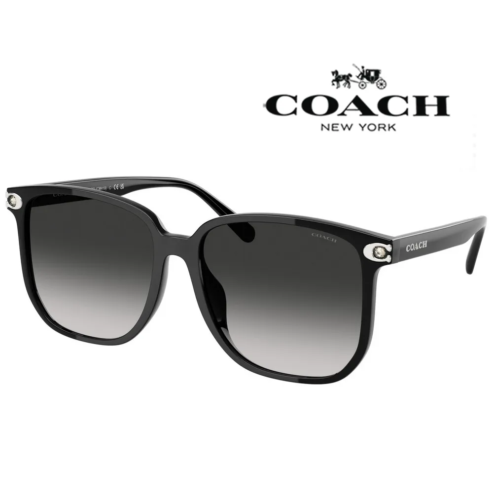 COACH 蔻驰 水餃包 牛皮 大容量 女性 公事包 電腦包 書包 側背包 肩背包 歷史價格詳細信息