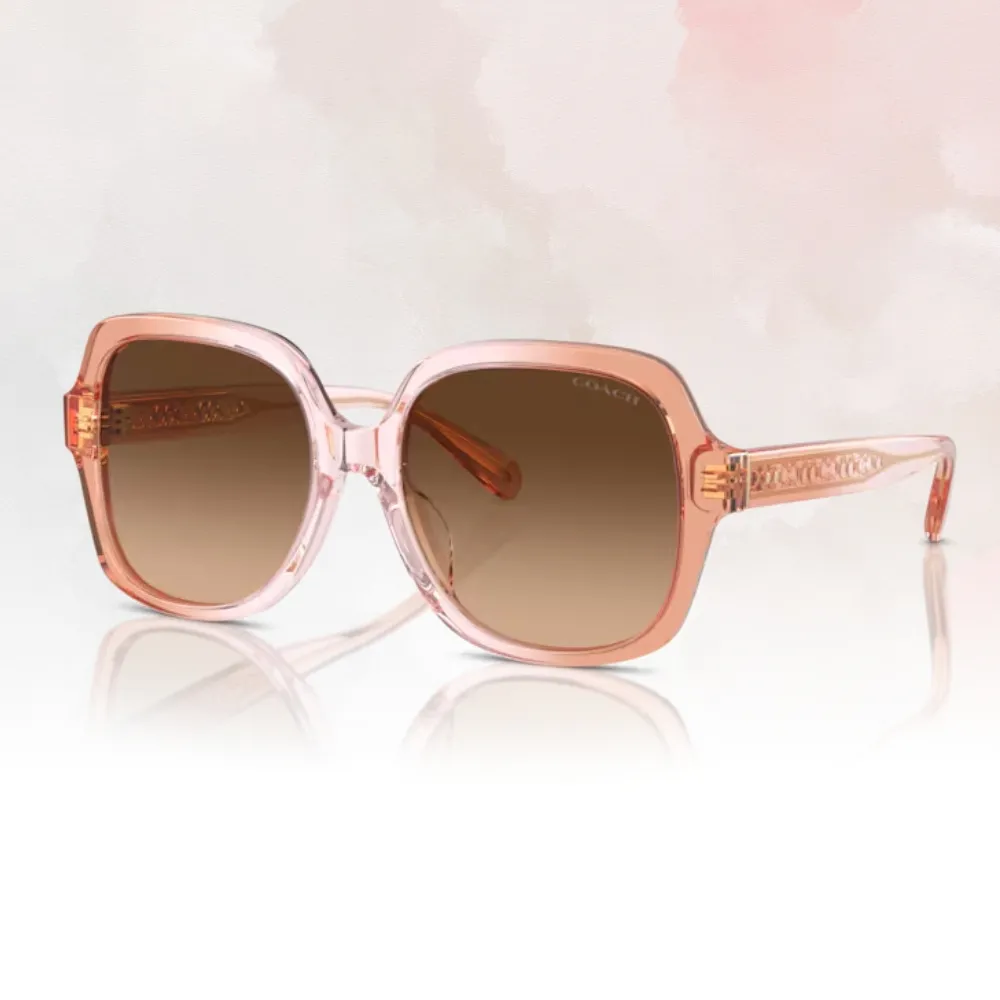 【COACH】方形膠框太陽眼鏡(HC8407U-50023C 52mm) 歷史價格詳細信息