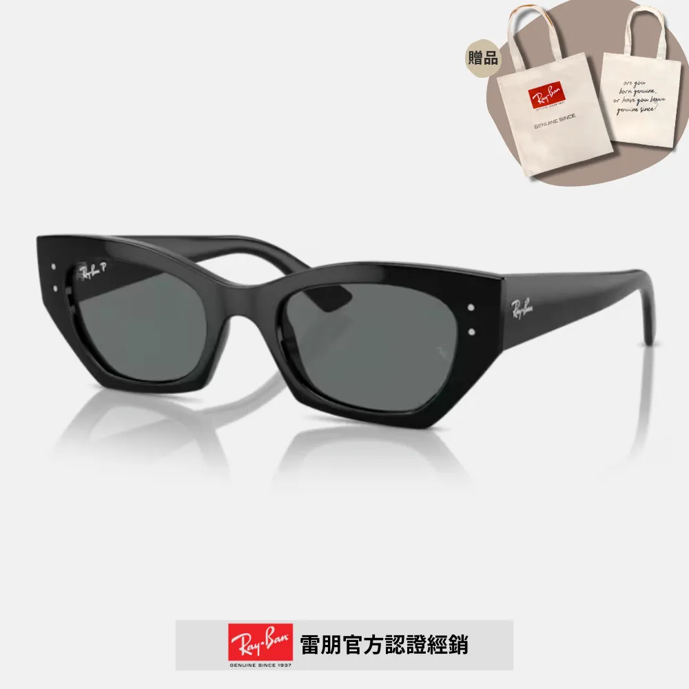 【RayBan 雷朋】膠框偏光太陽眼鏡(RB4391D-601/9A、RB4391D-601/81 65mm 偏光鏡片) 歷史價格詳細信息