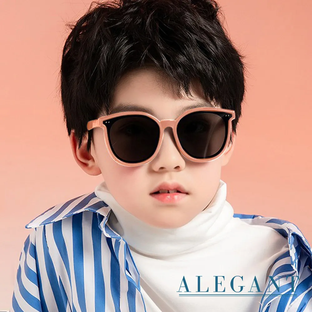 【ALEGANT】曠旅時尚飛官寶麗來偏光墨鏡/UV400太陽眼鏡 歷史價格詳細信息