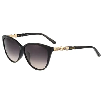 SWAROVSKI 太陽眼鏡(黑色)SW117F 歷史價格詳細信息