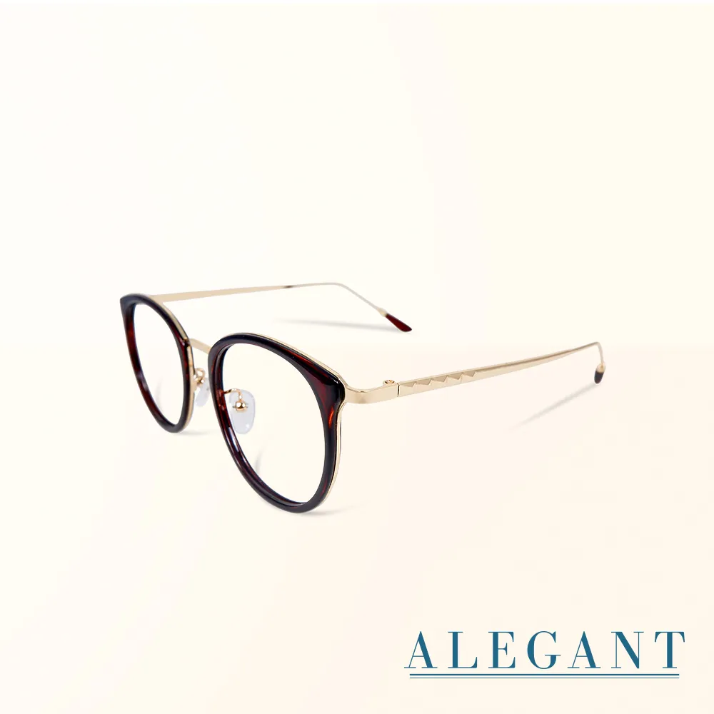 【ALEGANT】潮流桂棕圓框可彎折鏡腳全罩式寶麗來偏光墨鏡(外掛式/包覆式/寶麗來墨鏡/車用眼鏡/彈性鏡腳) 歷史價格詳細信息